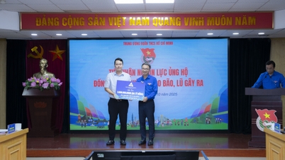 Tân Á Đại Thành ủng hộ 3 tỷ đồng hỗ trợ đồng bào vùng lũ miền Trung và miền Bắc