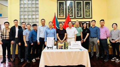 Die vietnamesische Botschaft in Mosambik startete eine Kampagne, um Landsleute im Land bei der Bewältigung der durch Stürme und Überschwemmungen verursachten Schäden zu unterstützen.