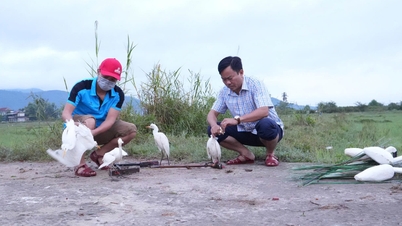Phú Lộc: Bắt giữ các đối tượng bẫy cò trên địa bàn