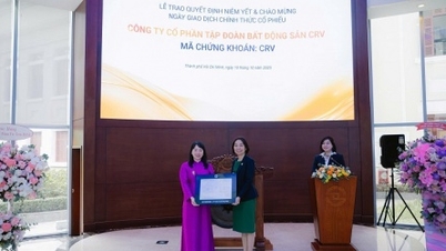 CRV는 상장 첫날에 주당 31,200동에 달하는 최고가까지 상승했습니다.