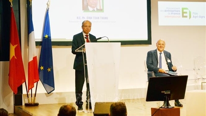 Möglichkeiten zur Förderung des Potenzials der landwirtschaftlichen Zusammenarbeit zwischen Vietnam und Frankreich