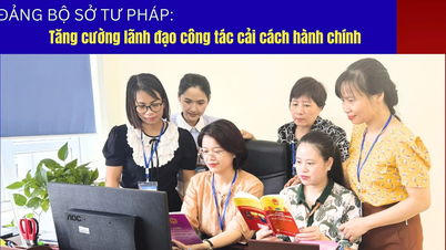 Đảng bộ Sở Tư pháp: Tăng cường lãnh đạo công tác cải cách hành chính