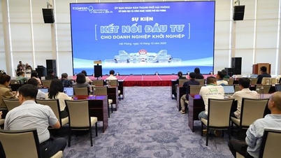 ربط الاستثمار بالشركات الناشئة المبتكرة