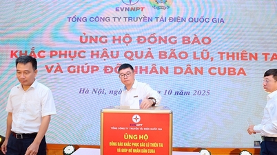 EVNNPT quyên góp ủng hộ đồng bào khắc phục hậu quả bão lũ, thiên tai
