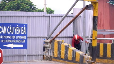 Cảnh báo tình trạng học sinh, người dân cố tình chui rào chắn đi bộ qua cầu Yên Bái