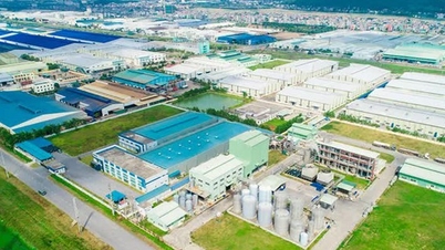 バクニン省：科学技術の発展に向けた民間ビジネスエコシステムの構築