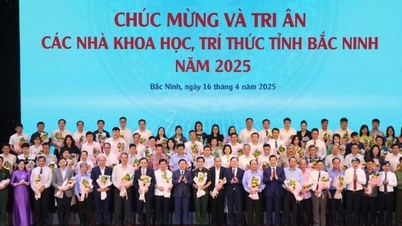 تساهم شركة Bac Ninh Knowledge في عملية التحول الرقمي في المقاطعة