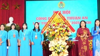 두옹호아사(Duong Hoa Commune Business Association)와 투안안사(Thuan An Commune Trade Union)가 제1차 대회를 개최했습니다.