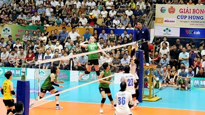 Schema för semifinalerna i Nationella volleybollmästerskapet 2025