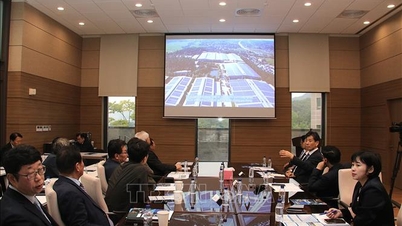 투옌꽝성과 한국 기업을 연결하다