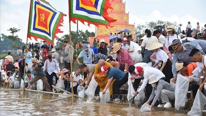 ຫາຍ​ຟ່ອງ ປ່ອຍ​ປາ 50.000 ໂຕ ເພື່ອ​ຟື້ນ​ຟູ​ແຫຼ່ງ​ນ້ຳ​ຢູ່​ແມ່​ນ້ຳ Luc Dau