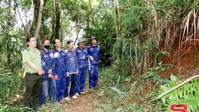 Điểm sáng sử dụng quỹ bảo vệ và phát triển rừng