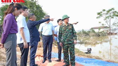 Le président du Comité populaire de Hanoi, Tran Sy Thanh, a inspecté les zones inondées dans les communes de Trung Gia et de Da Phuc.
