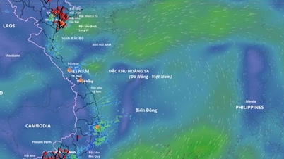 東海の低気圧による悪天候の予報