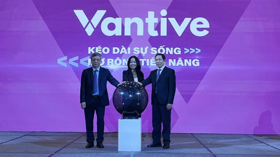 Draag bij aan het verbeteren van de kwaliteit van de gezondheidszorg in Vietnam