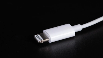 古いLightningケーブルを再利用してテクノロジー廃棄物を削減する3つの方法