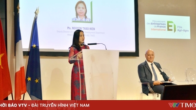 Doanh nghiệp Việt Nam thúc đẩy xuất khẩu tại thị trường Pháp