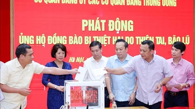 ลงทะเบียนเงินกว่า 907 พันล้านดองเพื่อช่วยเหลือผู้ได้รับผลกระทบจากภัยธรรมชาติและน้ำท่วม