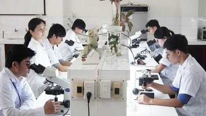 지적 재산권의 상업적 활용 촉진 - 권리 보호에서 재산권 및 상업화로의 전환