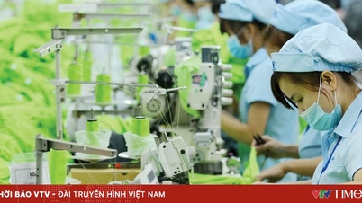 Doanh nhân Việt Nam: Vững vàng nội lực, kiến tạo tương lai