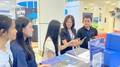 Phu Tho promotes startup and innovation ecosystem