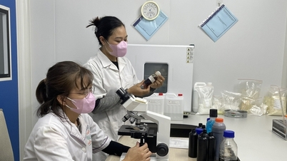 Sở KH&CN Quảng Ninh làm việc với Cục Viễn thông – Bộ KH&CN nhằm tháo gỡ vướng mắc về hạ tầng viễn thông và chuyển đổi số