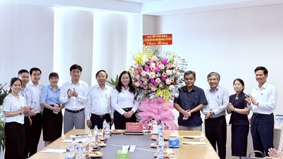 Le secrétaire provincial du Parti, Ho Van Nien, a visité et travaillé avec VSIP Quang Ngai Company Limited