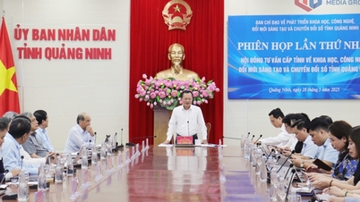 Hội đồng tư vấn cấp tỉnh về Khoa học, Công nghệ, Đổi mới Sáng tạo và Chuyển đổi số tỉnh Quảng Ninh