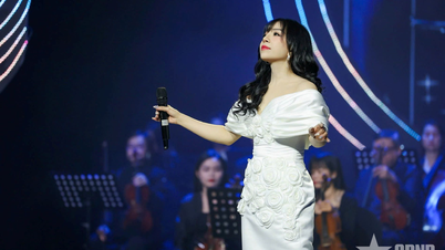 Uma imagem colorida no álbum de música de outono do músico Nguyen Thanh Trung