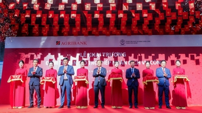 Agribank ve Hanoi Şehir Kamu Yönetimi Hizmet Merkezi, bankanın işlem noktalarında vatandaşların kamu hizmetlerini yerine getirmesini desteklemek için bir model uygulamak üzere iş birliği yapıyor.