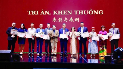 Vietnam-China-Freundschaftsaustausch 2025 in Haiphong: Förderung der zwischenmenschlichen Zusammenarbeit und der Geschäftsbeziehungen
