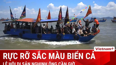 Culorile oceanului în cadrul Festivalului Patrimoniului Balenelor Can Gio
