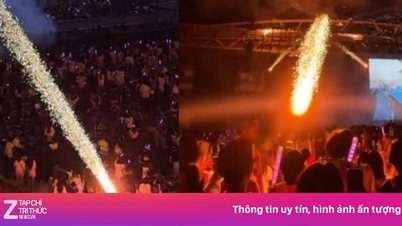 Publiken fick panik och sprang iväg efter händelsen vid Em xinh-konserten.