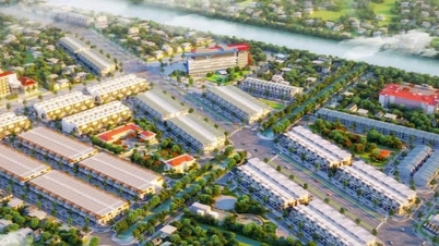 Ho Chi Minh City: Implementing a campaign to enrich and clean up the national land database