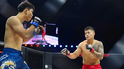 Vietnamesischer MMA-Kämpfer kämpft zum dritten Mal um den Meisterschaftsgürtel