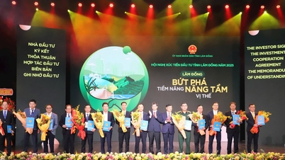 Lam Dong បានចុះហត្ថលេខាលើអនុស្សរណៈយោគយល់គ្នាជាមួយវិនិយោគិនចំនួន១២