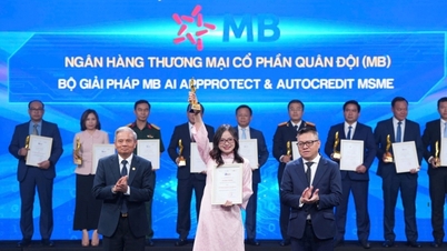 Az MB úttörő technológiai megoldásaival elnyerte a 2025-ös vietnami digitális transzformációs díjat.