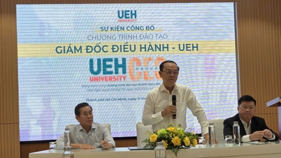 Nâng cao năng lực CEO Việt Nam trong thời kỳ hội nhập và chuyển đổi số theo Nghị quyết 68