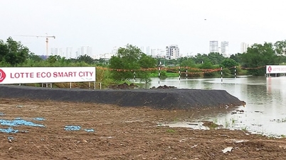 A confiança é fortalecida, os investidores continuam a investir capital na Cidade de Ho Chi Minh