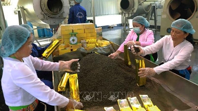 Ekonomi swasta Phu Tho berkembang dengan kukuh