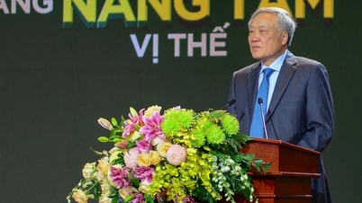 نائب رئيس الوزراء نجوين هوا بينه: لام دونج بحاجة إلى تحسين بيئة الاستثمار الخاصة بها.