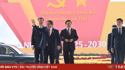 Đại hội Đảng bộ Chính phủ lần thứ I tiến hành phiên trù bị