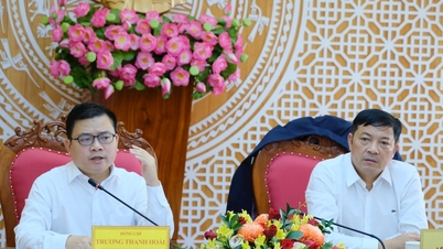 Lam Dong promueve su potencial para convertirse en el centro energético y mineral de las Tierras Altas Centrales