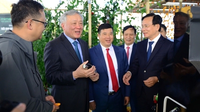 Many 'big guys' registered to pump 35,000 billion VND into Lam Dong