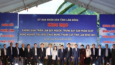 Kỳ vọng về những nhà đầu tư tiềm năng, tạo giá trị bền vững