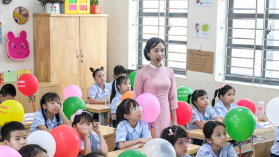 ニンビン省、普遍的な基準を引き上げ、学習機会を拡大