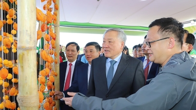 Triển lãm tiềm năng, thế mạnh để thu hút đầu tư vào tỉnh Lâm Đồng