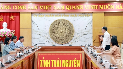 カインホア省は、タイグエン族が自然災害の影響を克服できるよう10億ドンを支援している。