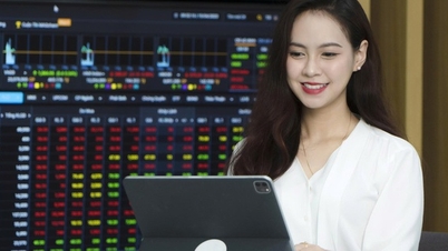 VN-Index supera su pico después de la actualización, ¿por qué muchos inversores siguen perdiendo dinero?