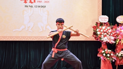 Preserving the spirit of Vietnamese martial arts through Nhat Nam martial arts